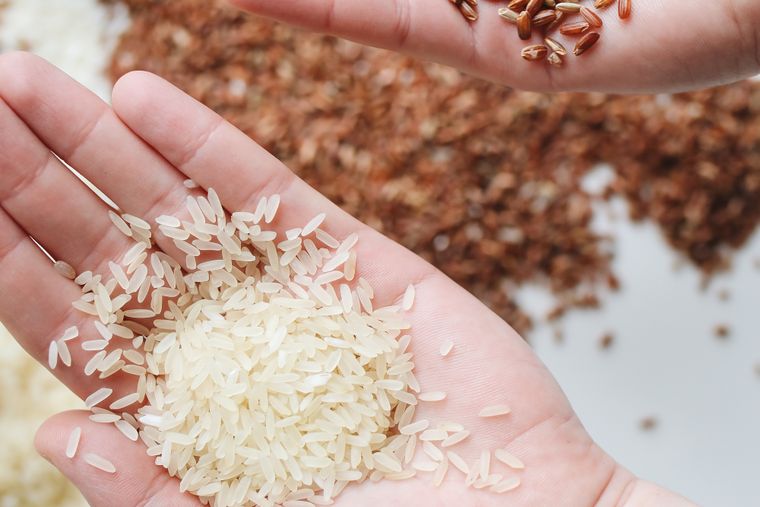 Cooked red lentils in a bowl — a budget-friendly iron-rich plant protein for metabolism